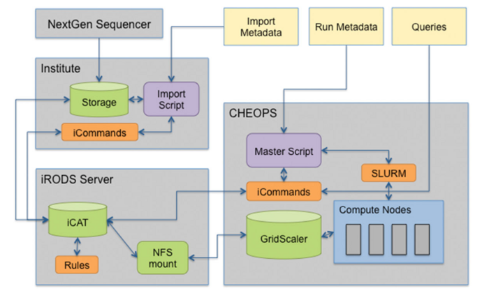 iRODS Metadatenmangement für den Workflow einer Krebsgenomanalyse. Diagramm des aktualisierten Systems: Nieroda L. et al. BMC Bioinformatics (2019).